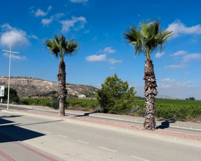 Image No.23-2 Bed Apartment for sale