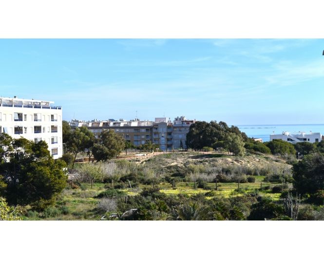 Image No.29-Maison de ville de 3 chambres à vendre à Guardamar del Segura