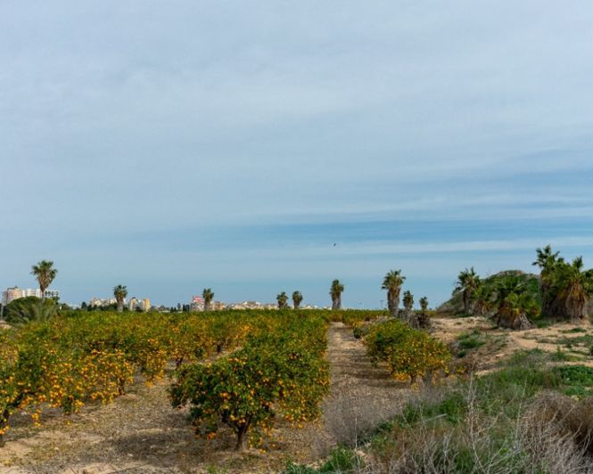 Image No.43-Villa de 2 chambres à vendre à Los Altos