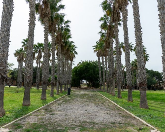 Image No.45-Villa de 2 chambres à vendre à Los Altos