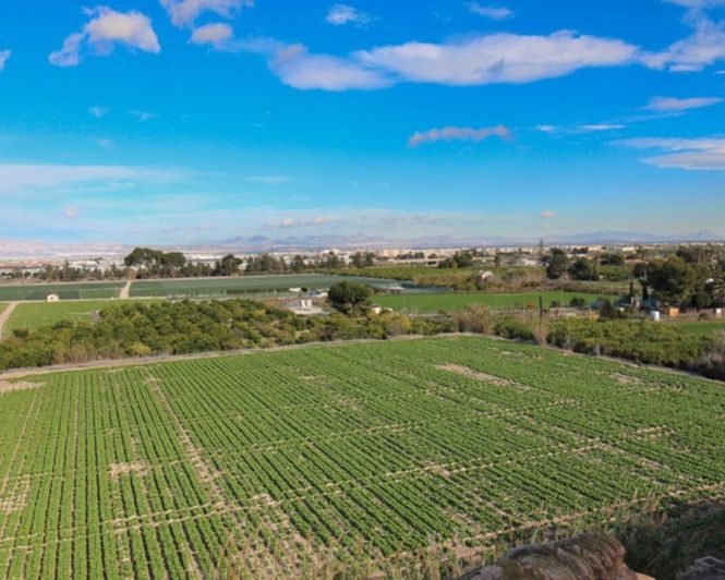 Image No.16-1 Bed Apartment for sale