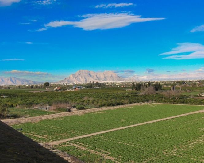 Image No.3-1 Bed Apartment for sale