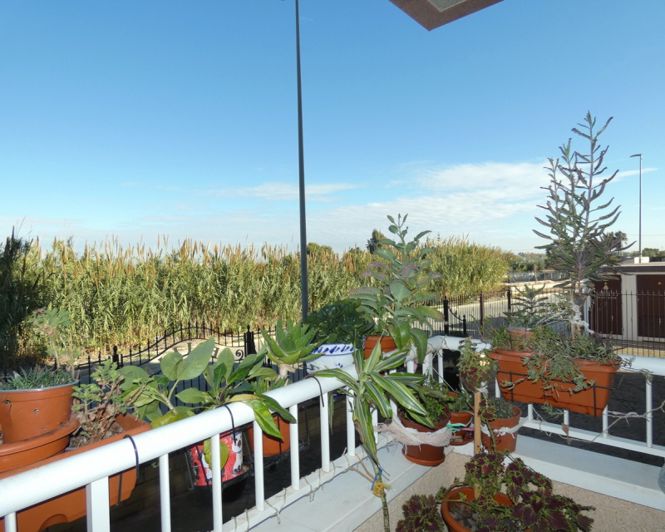 Image No.6-1 Bed Apartment for sale