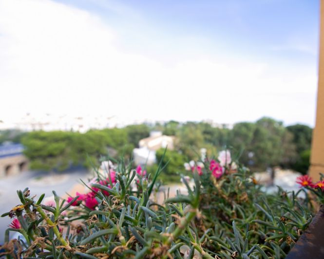 Image No.39-2 Bed Apartment for sale