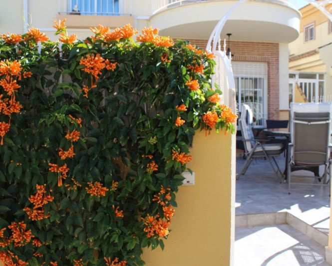 Image No.25-Villa de 3 chambres à vendre à Villamartin