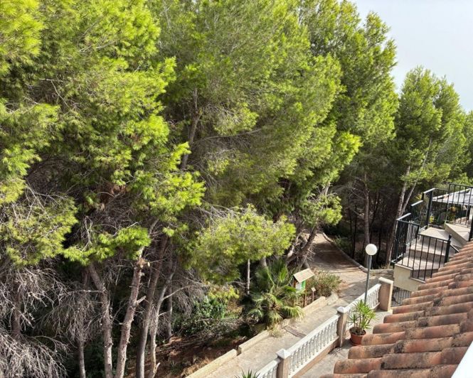 Image No.25-2 Bed Apartment for sale