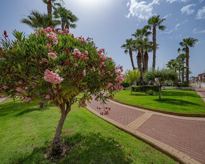 Image No.28-Appartement de 2 chambres à vendre à Playa Flamenca