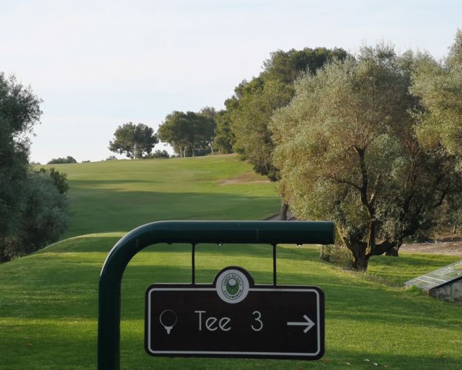Image No.27-Bungalow de 1 chambre à vendre à Villamartin