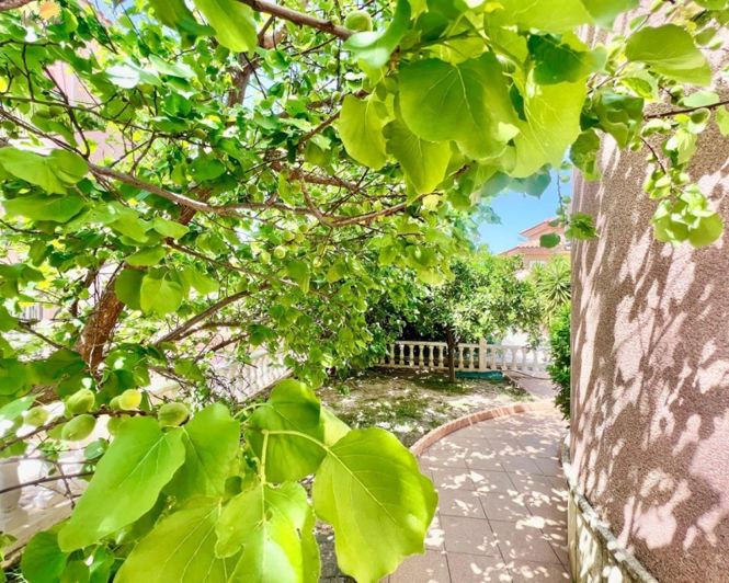 Image No.19-Villa de 3 chambres à vendre à Torrevieja