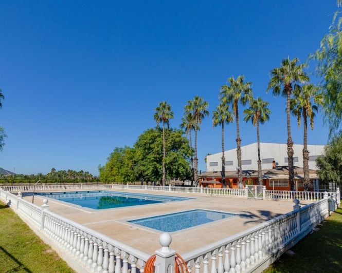 Image No.42-Appartement de 3 chambres à vendre à Jacarilla