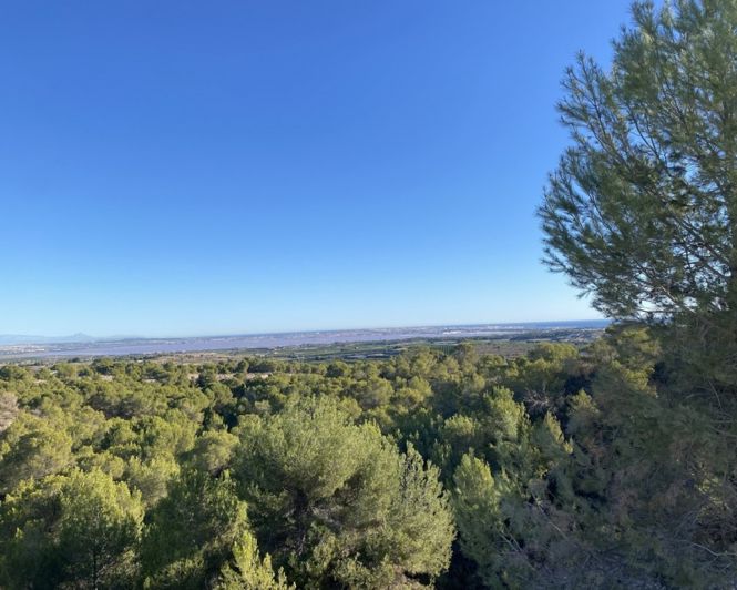 Image No.41-5 Bed Villa for sale