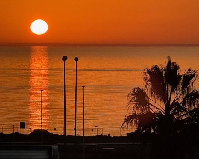 Image No.35-Appartement de 2 chambres à vendre à Playa Flamenca