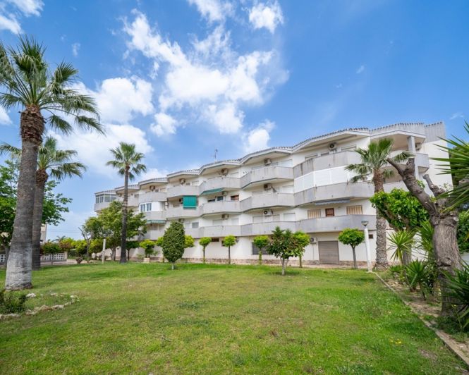 Image No.25-Appartement de 1 chambre à vendre à Cabo Roig