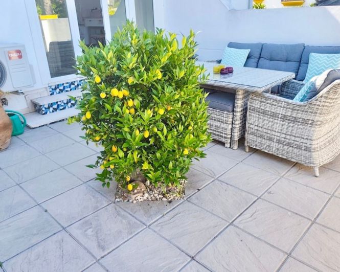 Image No.22-3 Bed Bungalow for sale
