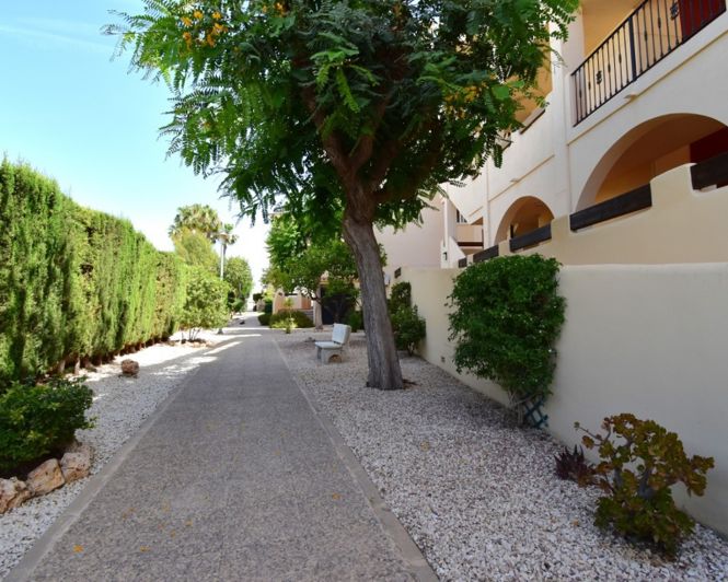 Image No.25-Appartement de 2 chambres à vendre à Playa Flamenca