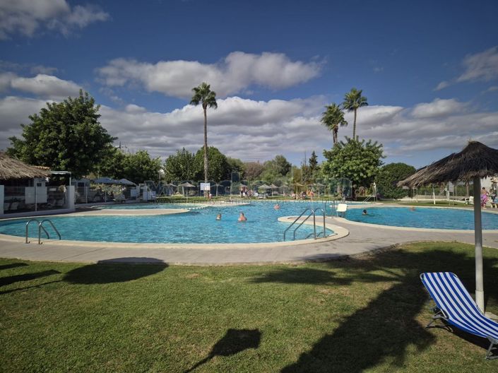 Image No.17-Propriété de 1 chambre à vendre à Torrevieja