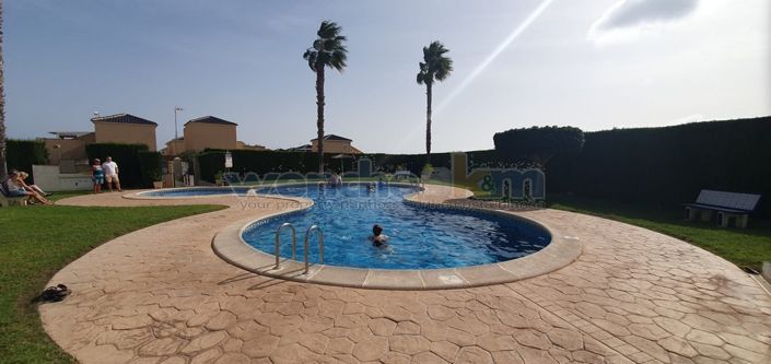 Image No.27-Jumelé de 2 chambres à vendre à Orihuela Costa