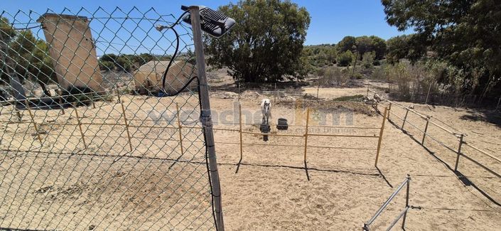 Image No.30-8 Bed Villa for sale