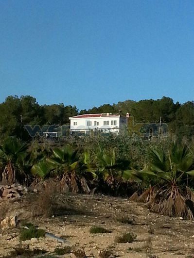 Image No.40-Villa de 8 chambres à vendre à Torrevieja