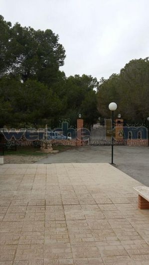 Image No.44-Villa de 8 chambres à vendre à Torrevieja