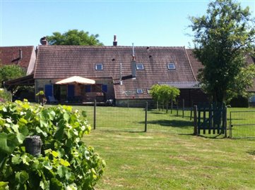 achtertuin8