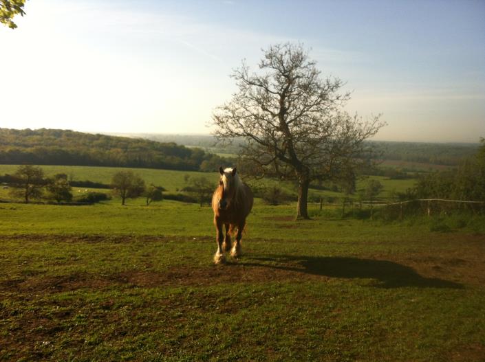 Image No.29-Maison de village de 3 chambres à vendre à Livry