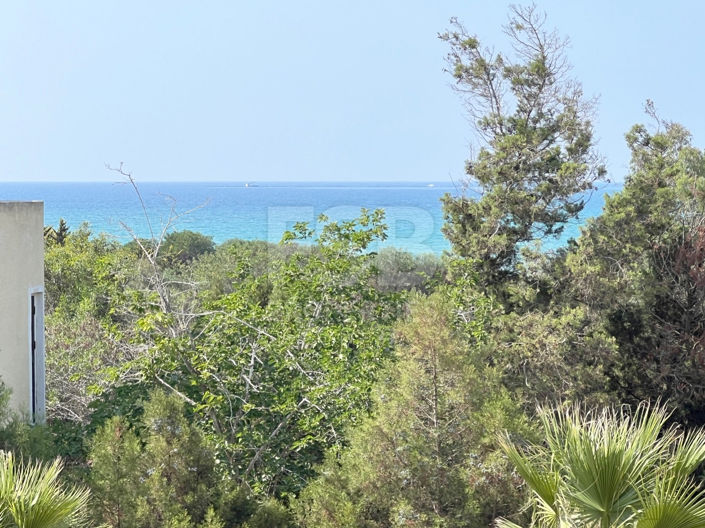Image No.28-Bungalow de 3 chambres à vendre à Ayia Thekla