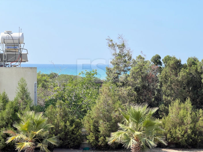 Image No.29-Bungalow de 3 chambres à vendre à Ayia Thekla