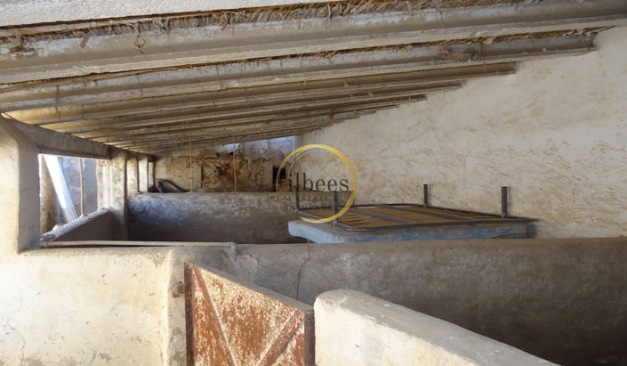 Image No.7-Maison de campagne à vendre à La Pinilla