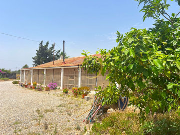 Filbee's Real Estate most sold property