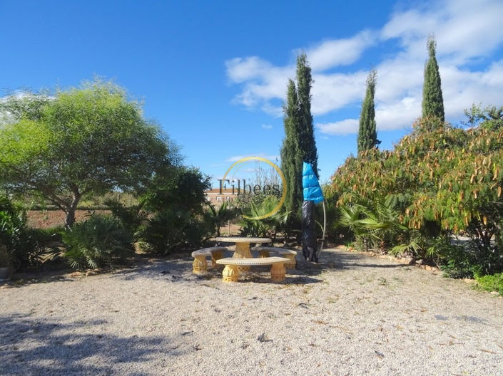 Image No.32-7 Bed Country House for sale