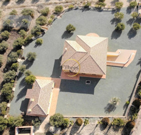 Filbee's Real Estate most sold property