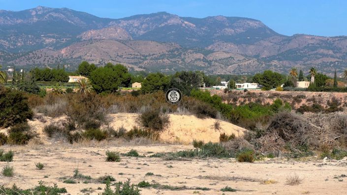 Image No.37-5 Bed Country House for sale