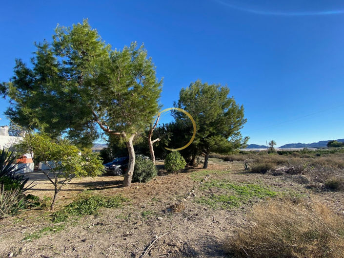 Image No.21-Maison de campagne à vendre à Mazarron