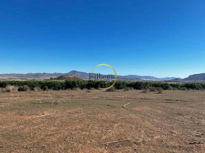 Image No.16-2 Bed Country House for sale