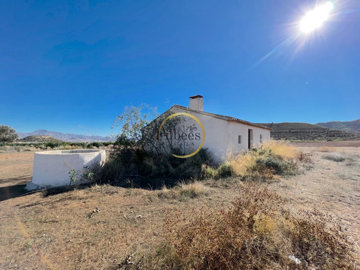 Filbee's Real Estate most sold property