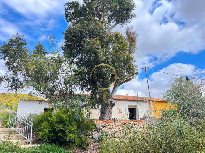 Image No.2-5 Bed Country House for sale