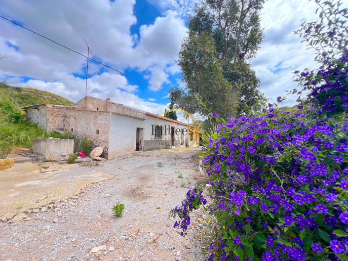 Image No.3-5 Bed Country House for sale