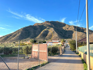 Filbee's Real Estate most sold property