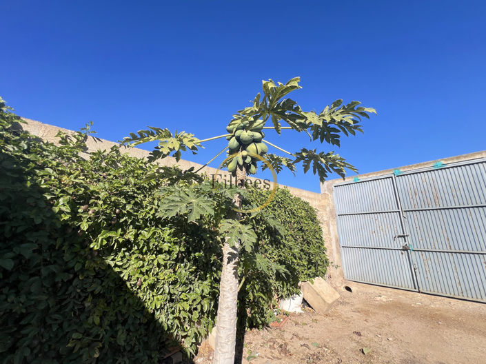 Image No.16-4 Bed Townhouse for sale