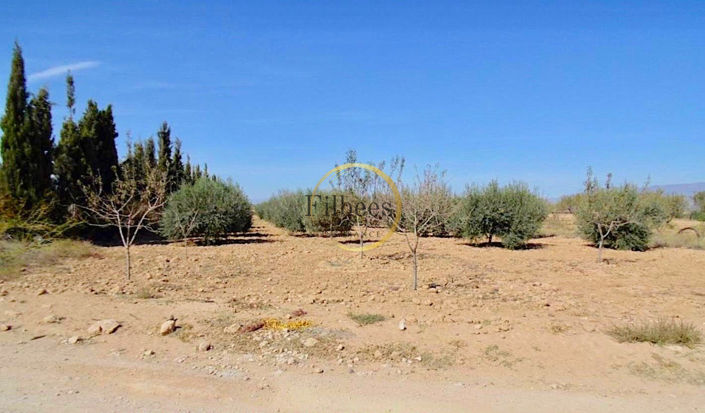 Image No.2-4 Bed Townhouse for sale