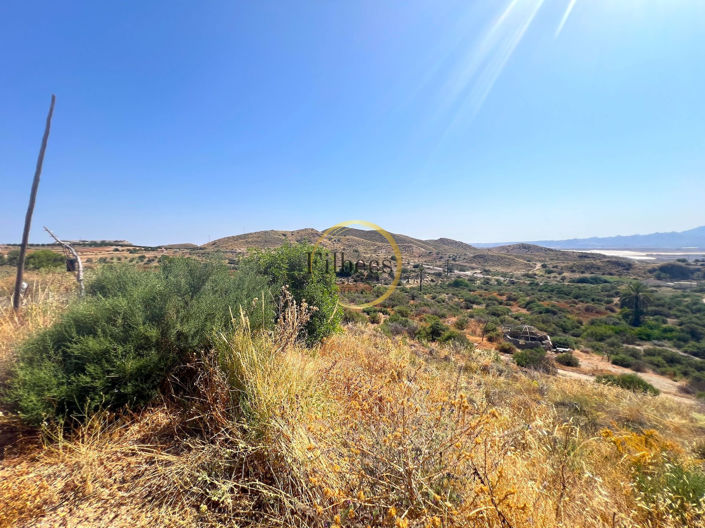 Image No.23-6 Bed Country House for sale