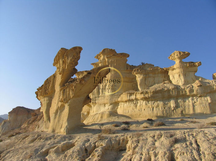 Image No.20-4 Bed House for sale