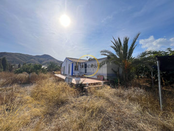 Filbee's Real Estate most sold property
