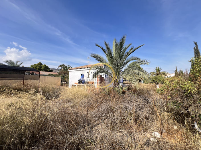 Image No.18-3 Bed Country House for sale