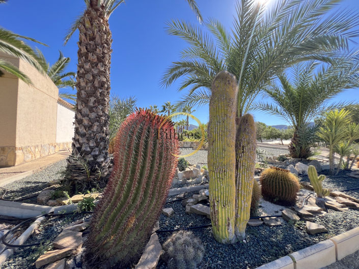 Image No.31-5 Bed Country House for sale