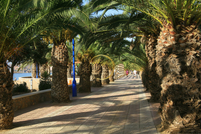 Image No.11-1 Bed Apartment for sale