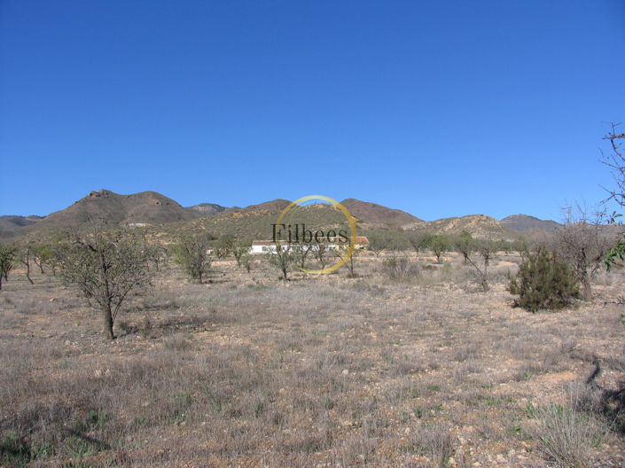 Image No.19-5 Bed Country House for sale