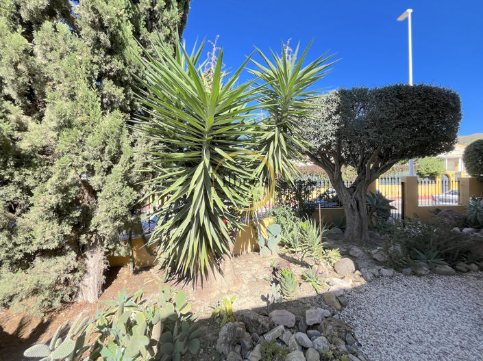 Image No.24-3 Bed Villa for sale