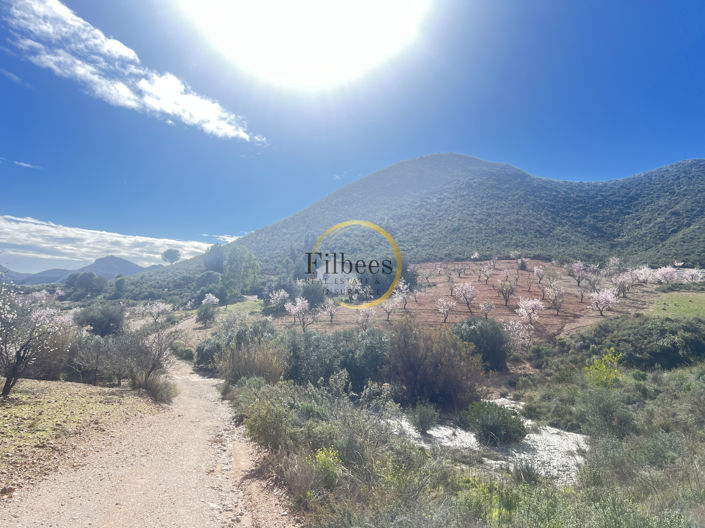 Image No.16-3 Bed Country House for sale